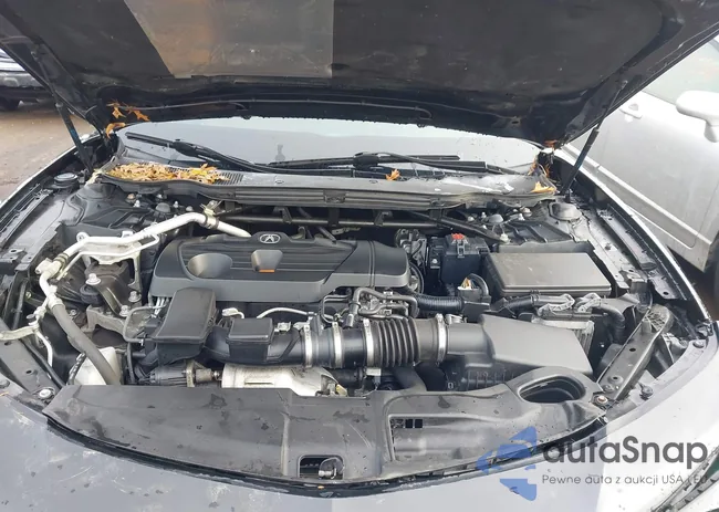 19UUB6F43MA004117: 44020937