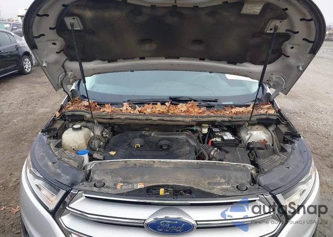 2FMPK4G94GBC00484: 44020957