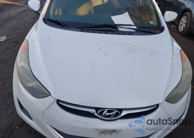 5NPDH4AE7DH337799: 44020963