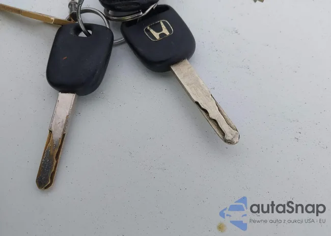 5FNRL38818B080805: 44021052