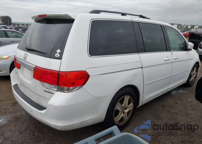 5FNRL38818B080805: 44021052