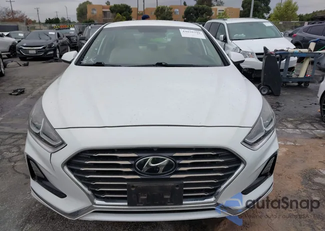 5NPE24AFXJH631546: 44020299