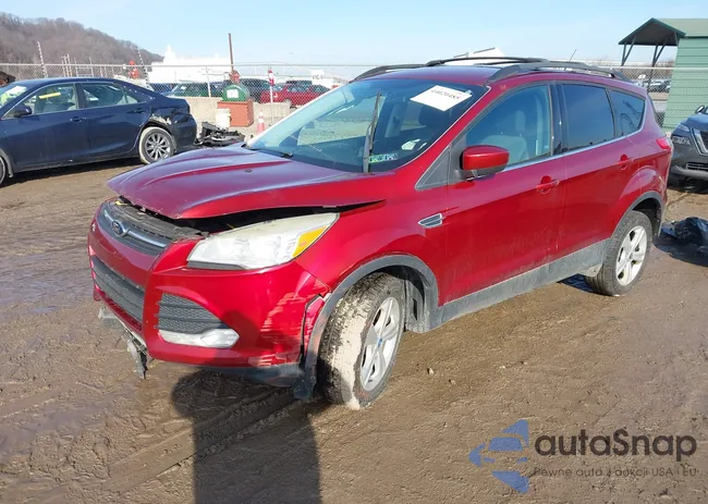 1FMCU9GX5DUA82908: 44020485