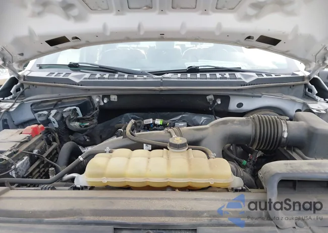 1FTEW1CP1KFC02185: 44020633