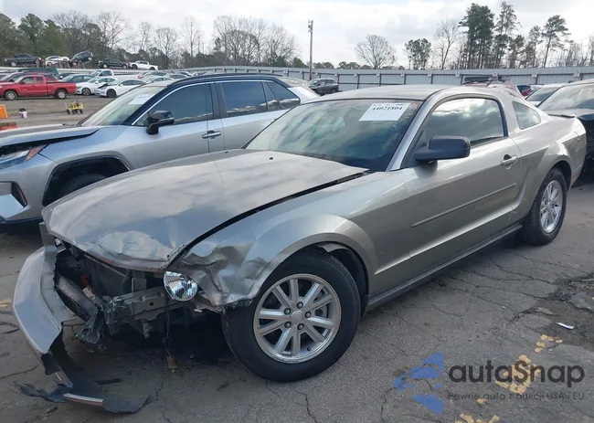 1ZVHT80N385184673: 44021804