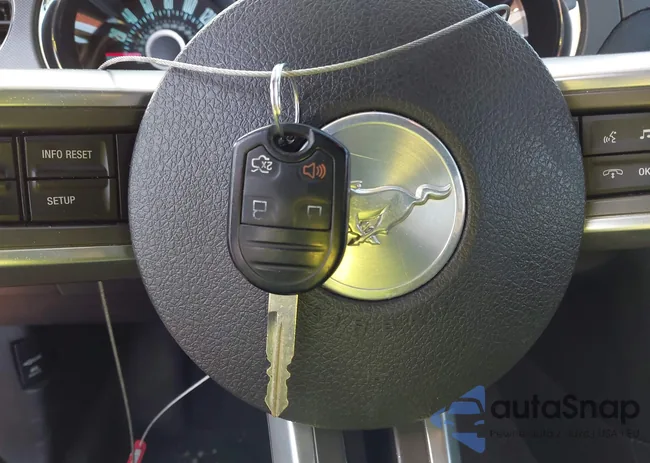 1ZVBP8AM0D5259145: 44021907