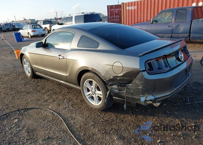 1ZVBP8AM0D5259145: 44021907