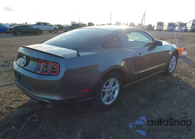 1ZVBP8AM0D5259145: 44021907