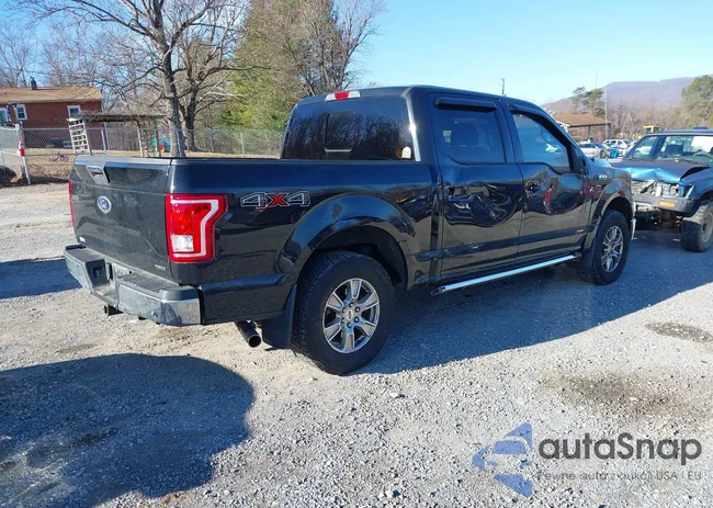 1FTEW1E84FFA97556: 44023037