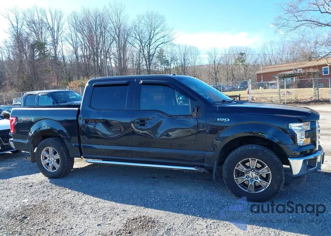 1FTEW1E84FFA97556: 44023037