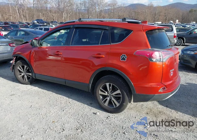 JTMRFREV0GJ074389: 44023874