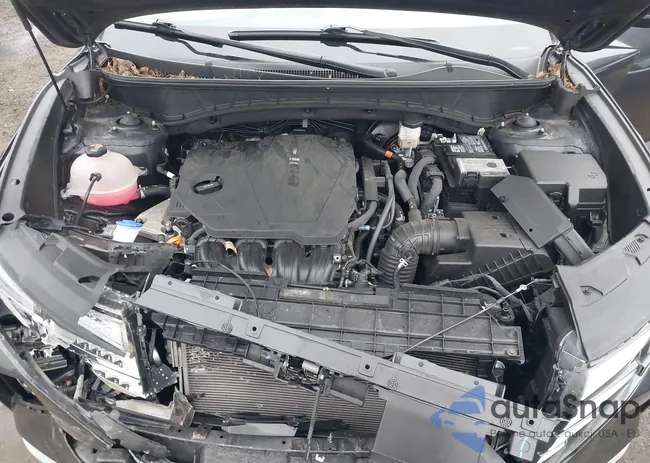 5NMJBCAE5PH281278: 44023911