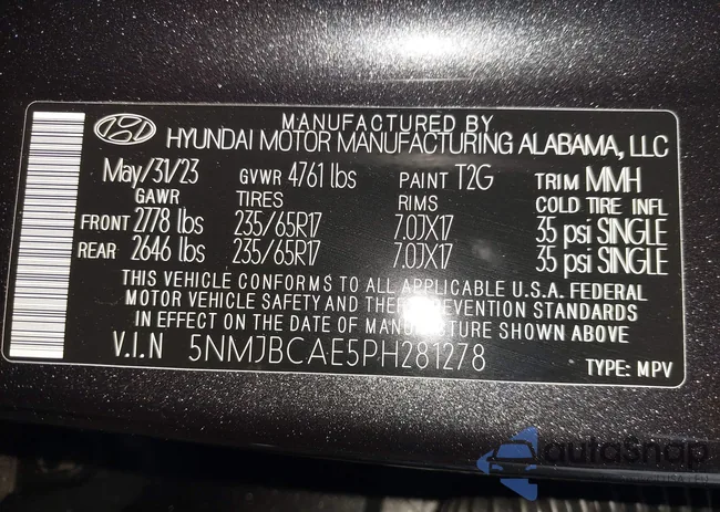 5NMJBCAE5PH281278: 44023911