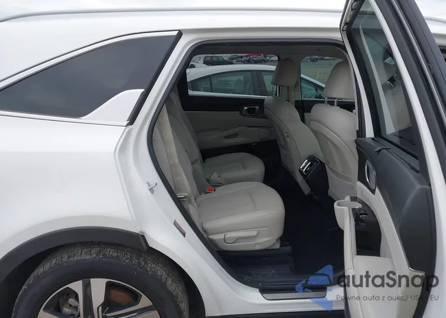 KNDRKDLGXP5204058: 44023411