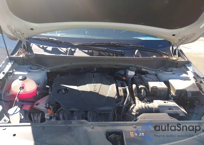 5XYK43DF1RG170873: 44024445