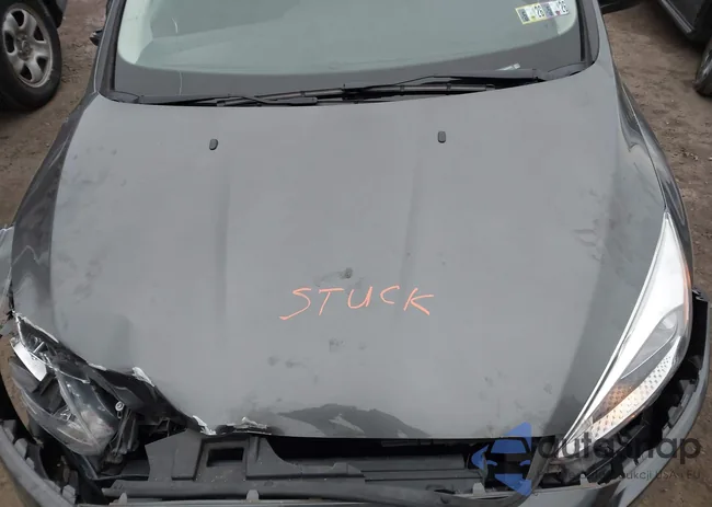 1FADP3F22JL264804: 44024631