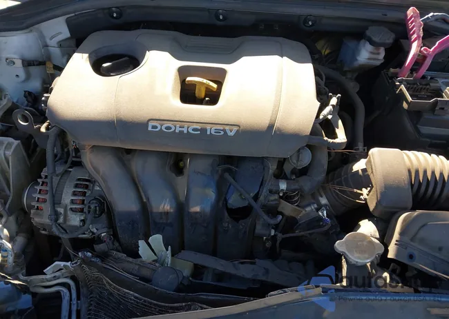 KMHD84LF4JU510326: 44028131