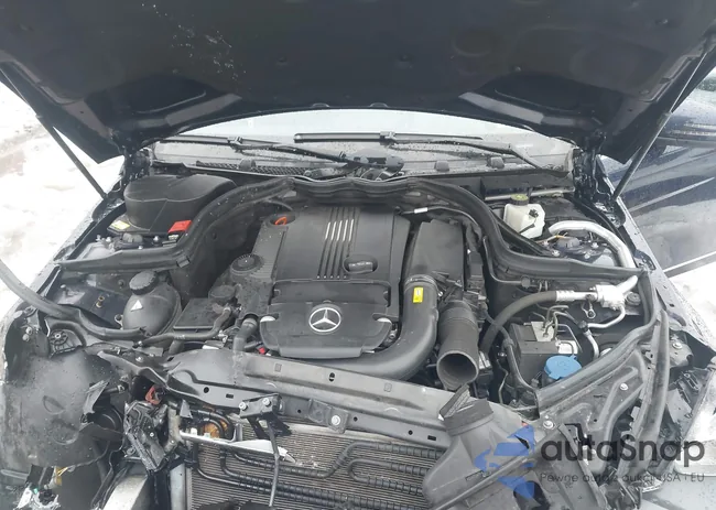 WDDGF4HB3DA799093: 44028263