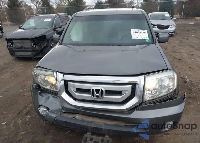 5FNYF48649B031753: 44028480