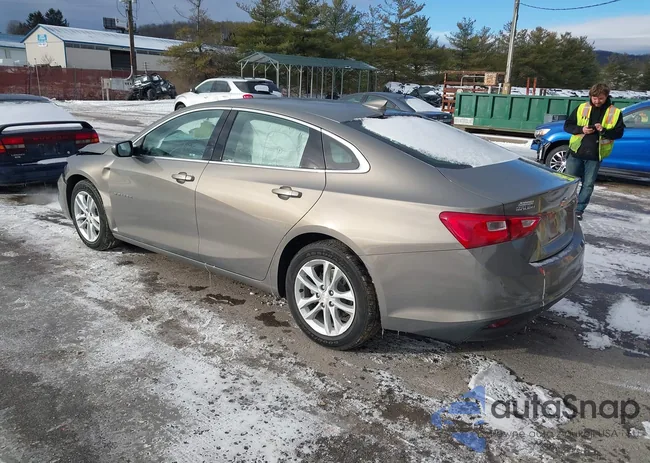 1G1ZD5ST6JF251466: 44028556