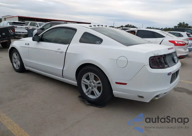 1ZVBP8AM1E5281432: 44030723