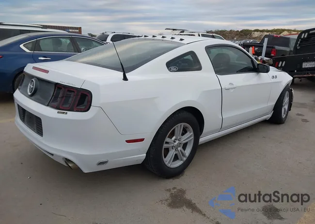 1ZVBP8AM1E5281432: 44030723