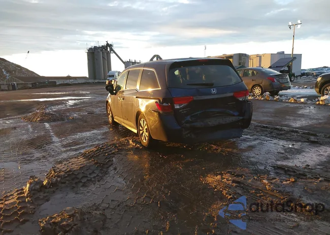 5FNRL5H3XGB004546: 44032069