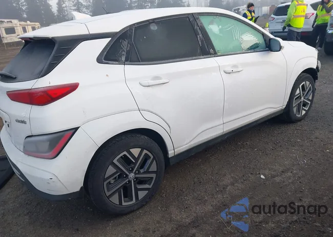 KM8K23AG6PU167834: 44031312