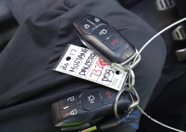 1FA6P8CF9H5338635: 44033160