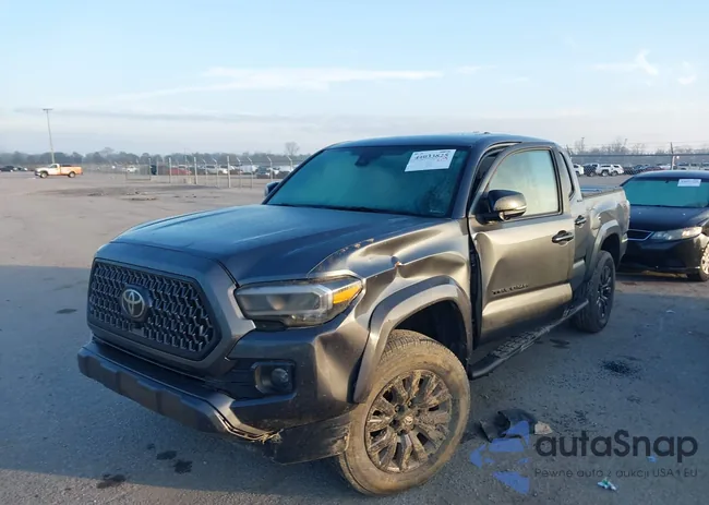 3TMEZ5CN9PM204674: 44033825