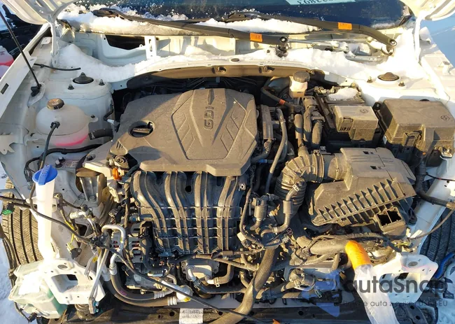 5NMJECAE2PH257687: 44033893