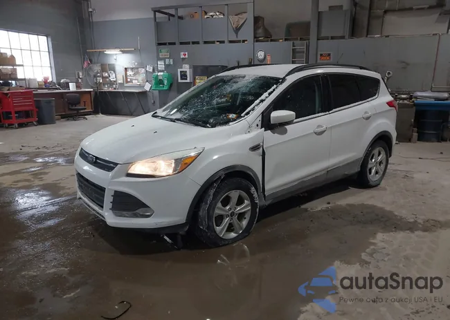 1FMCU9GX1FUB82829: 44034059