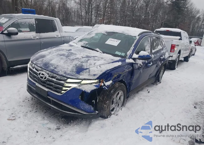 5NMJBCAE0PH180441: 44034787