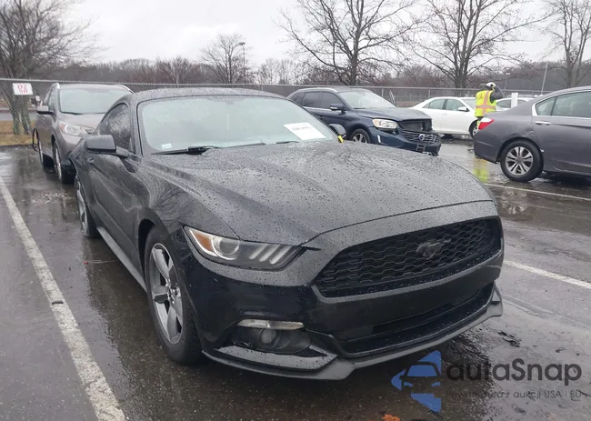 1FA6P8AMXH5273862: 44034993