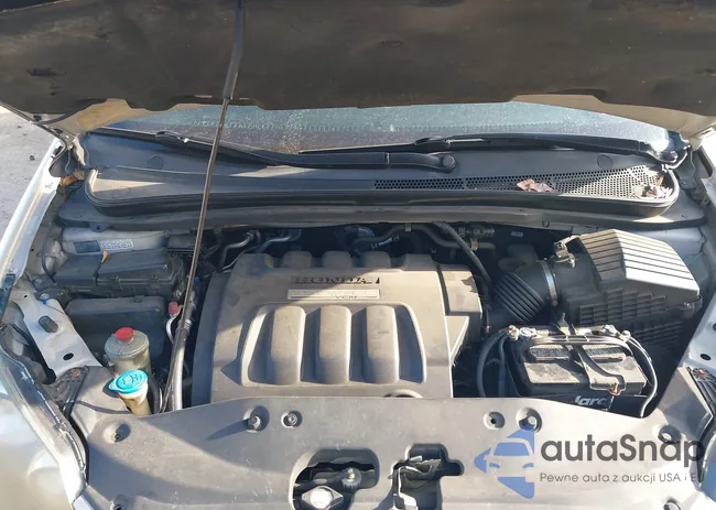 5FNRL38717B137980: 44034357