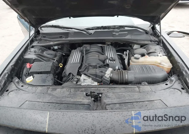 2C3CDZFJ7LH246313: 44035896