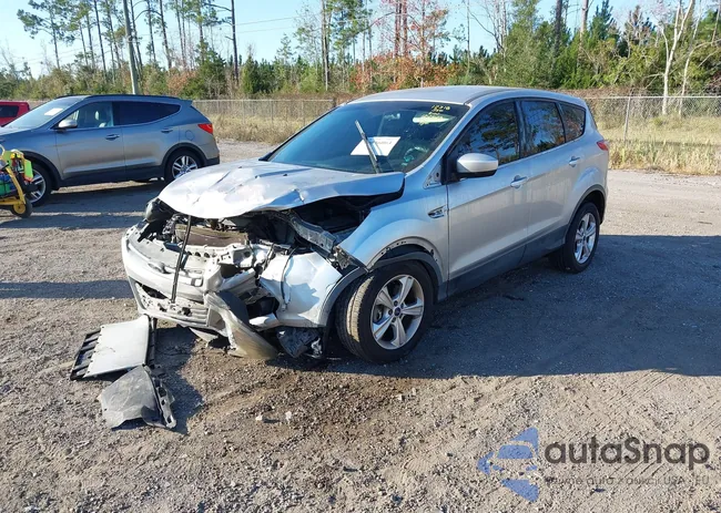 1FMCU0G95FUA31893: 44036064