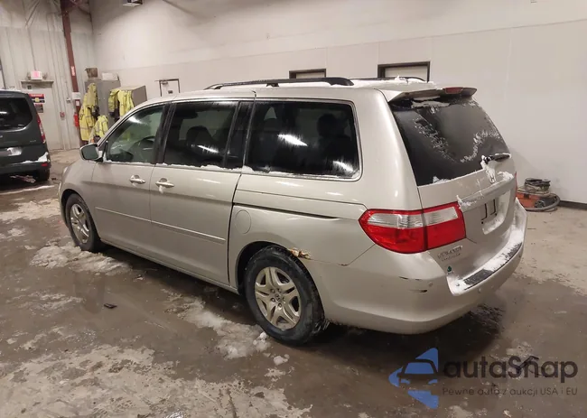 5FNRL38897B025954: 44035521