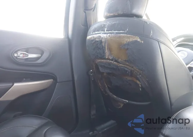 1C4PJMDS5HW599453: 44037219