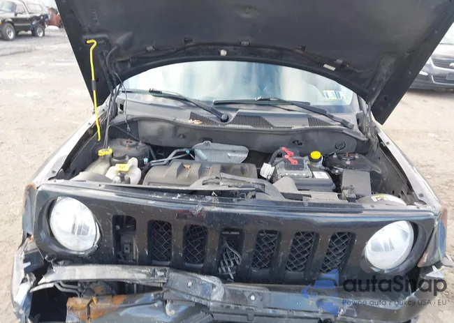 1C4NJRFB0FD176516: 44038125