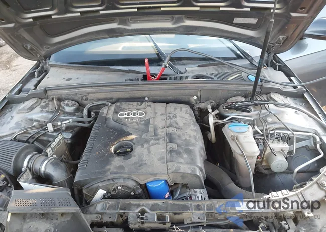 WAUFFAFL7GN004217: 44038695