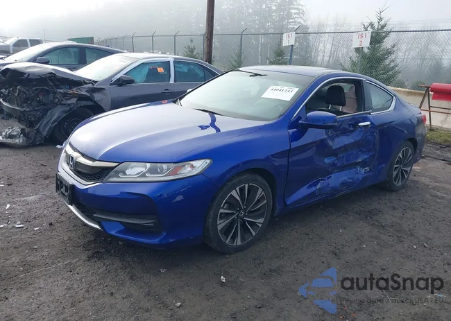 1HGCT1B85GA005391: 44041243