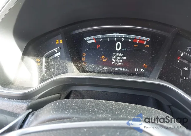 5J6RW2H59LL031343: 44041561