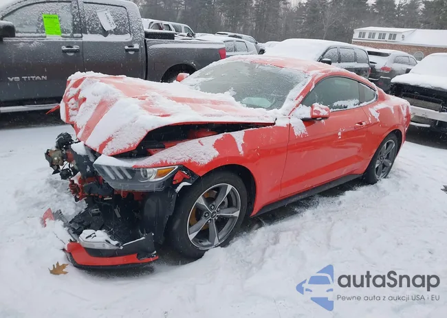 1FA6P8AM4G5305056: 44042243