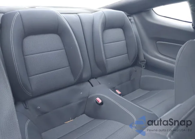 1FA6P8AM4G5305056: 44042243