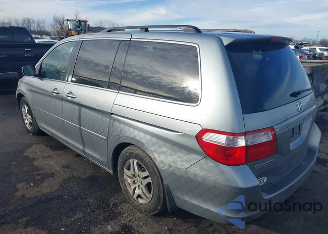 5FNRL38446B041605: 44043342