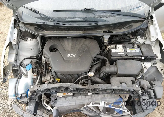 KNADM4A32C6052248: 44043373