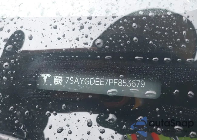 7SAYGDEE7PF853679: 44044685