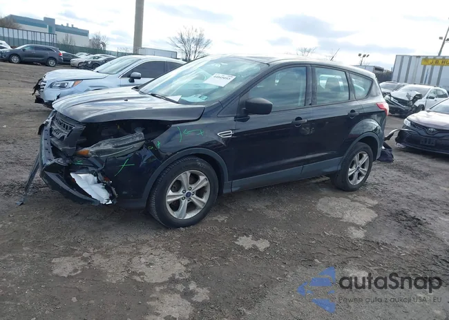 1FMCU0F71GUB29188: 44045053