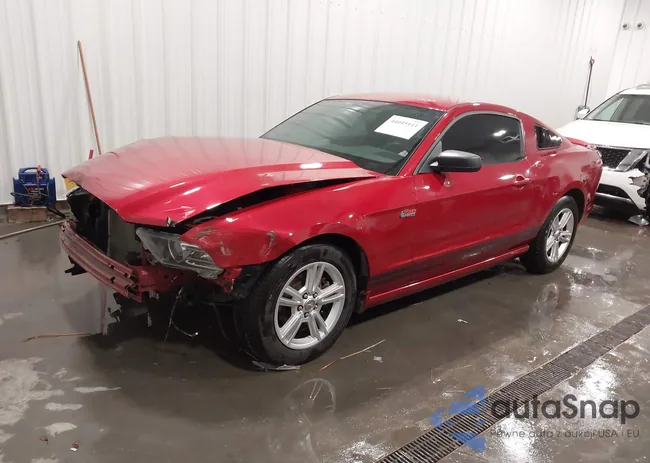 1ZVBP8AM7D5224070: 44045111